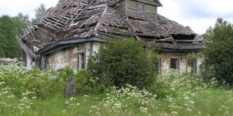 Муниципалитеты начнут разыскивать наследников заброшенных дачных участков