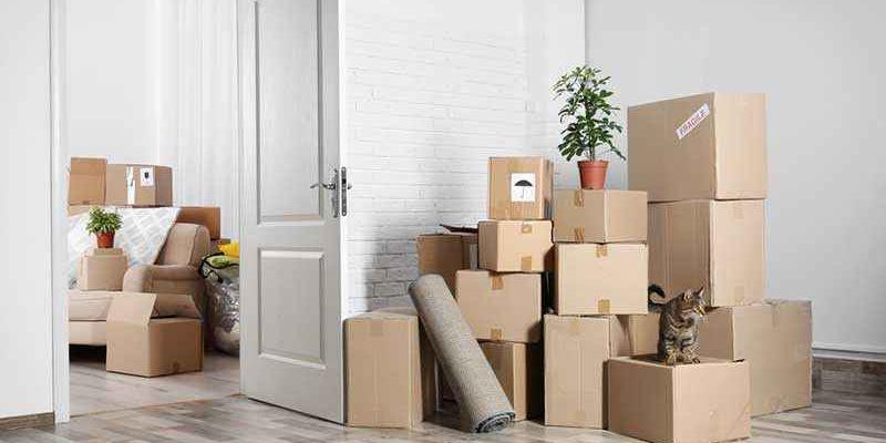 Что ждет жителей новостроек после переезда