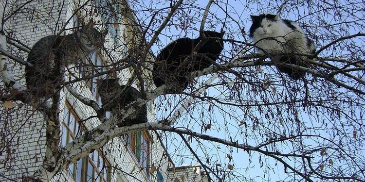 Что изменится в сфере недвижимости с 1 марта 2023 года