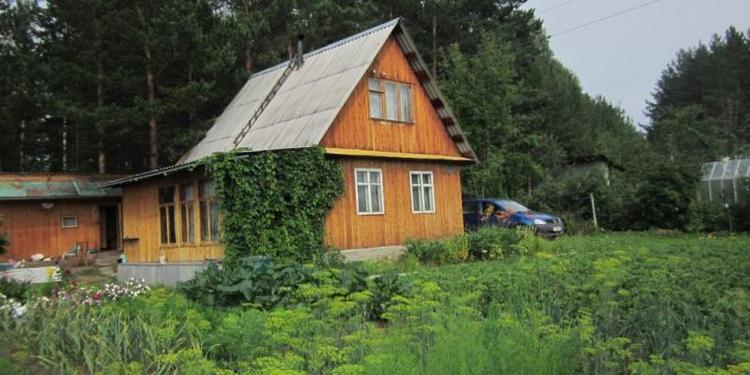 Дачная амнистия: что это такое и как воспользоваться