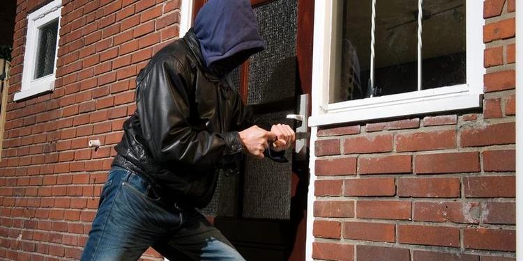 Россияне назвали главные способы защиты дач от преступников и ЧП