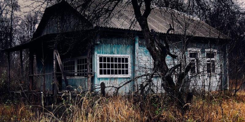 Правительство не поддержало предложение забирать участки у бесхозяйственных садоводов