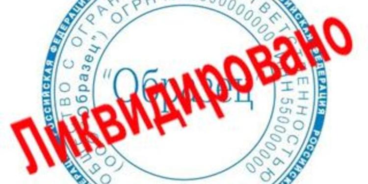 Что будет, если бросить компанию? Последствия для первых лиц ООО