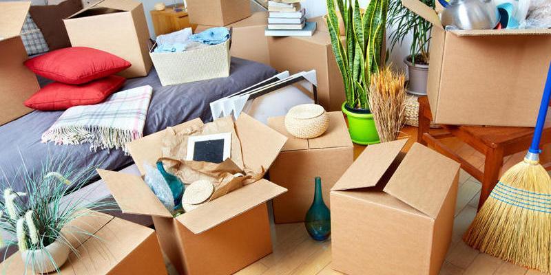 Как организовать переезд и не сойти с ума?