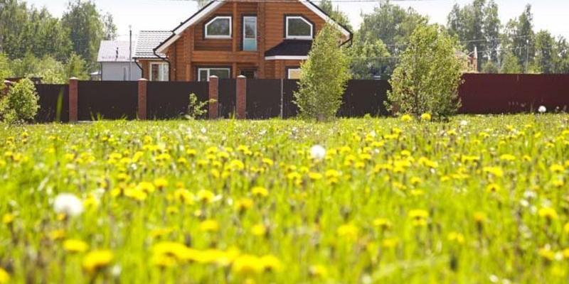 Рабочим и служащим могут начать бесплатно раздавать землю под строительство домов