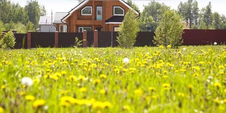 Рабочим и служащим могут начать бесплатно раздавать землю под строительство домов