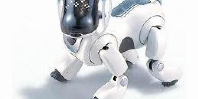 Не лает, не кусает, стройки проверяет: принимать новостройки будут собаки-роботы