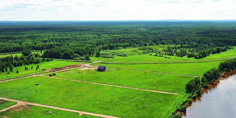 Землю под ИЖС будут предоставлять без торгов