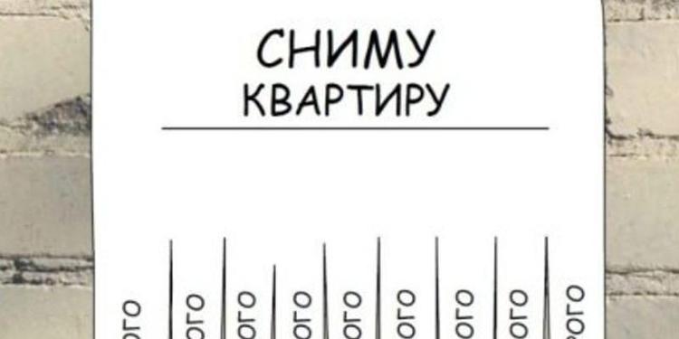 Ловля на жильца: На что следует обращать внимание при поиске съемной квартиры