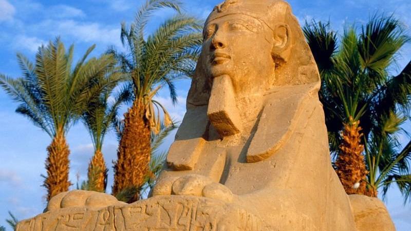Программа инвестиционного гражданства Египта привлекла уже тысячу заявителей
