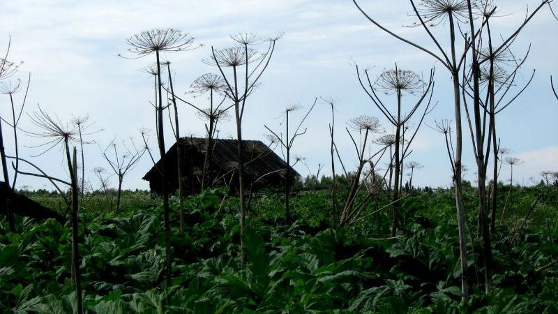 У россиян не будут изымать неиспользуемые земельные участки