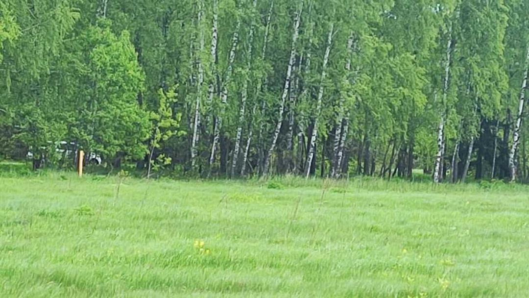 Галерея изображений недвижимости