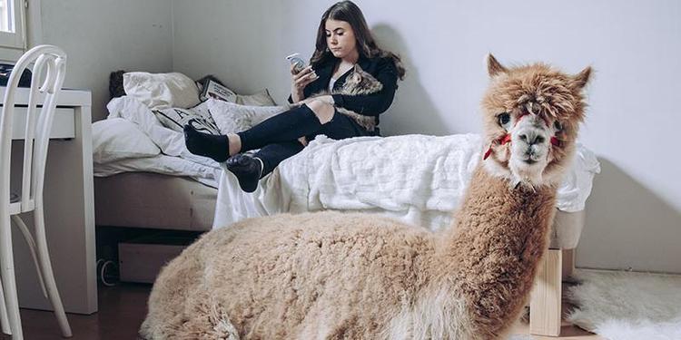 Что по закону нельзя делать в городской квартире