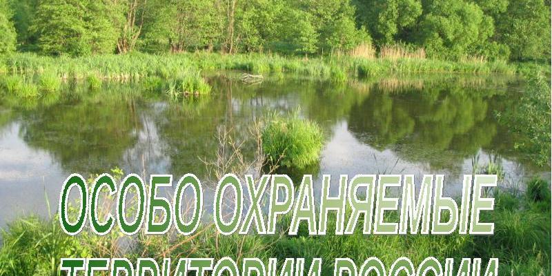 ООПТ будут жить по новому закону. Их инвесторы тоже