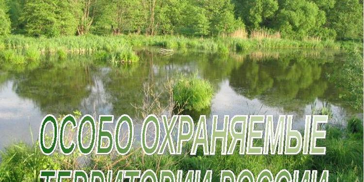 ООПТ будут жить по новому закону. Их инвесторы тоже