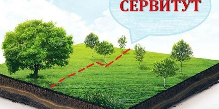 Оформление сервитута: как законно пользоваться чужим участком земли?