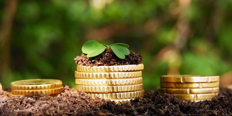 Изменится ли сумма налога за землю, если его кадастровая оценка выросла?