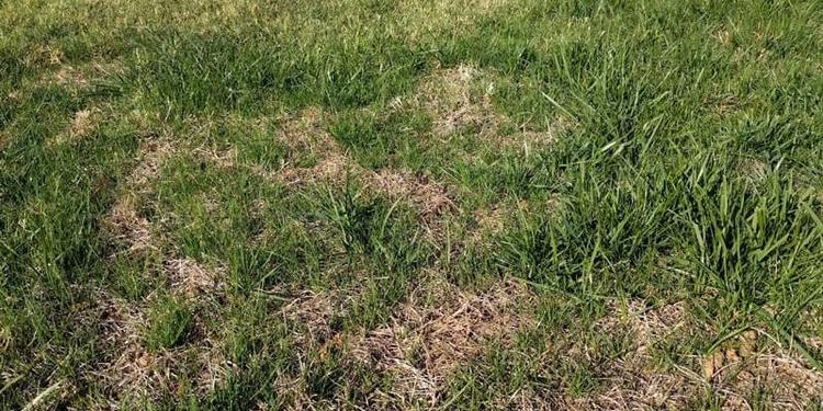 Купили участок. Что дальше?